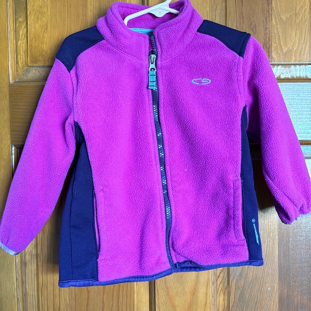 Champion fleece